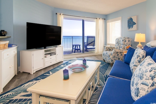 5800 N Ocean Blvd Unit 705, North Myrtle Beach, SC 29582 - living area featuring dark wood finished floors