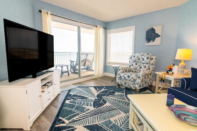 5800 N Ocean Blvd Unit 705, North Myrtle Beach, SC 29582 - living room with wood finished floors and baseboards