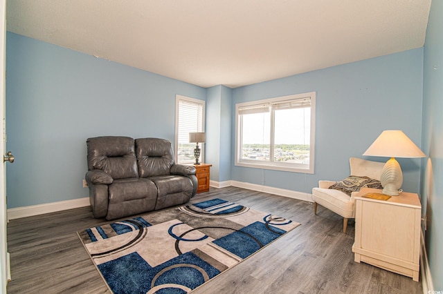 5800 N Ocean Blvd Unit 705, North Myrtle Beach, SC 29582 - living area with wood finished floors
