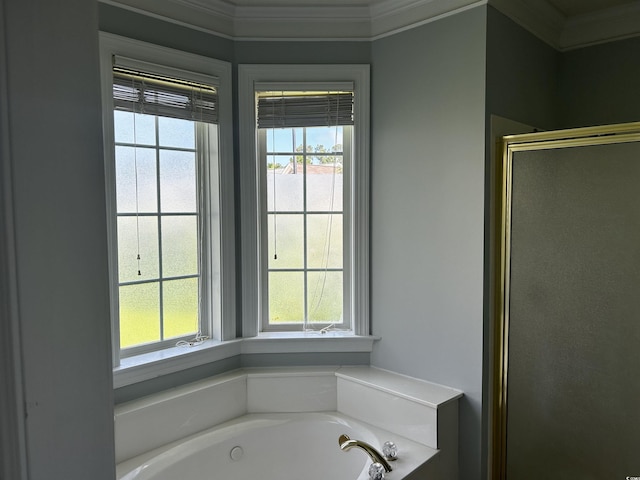 full bathroom with a garden tub, a wealth of natural light, and a shower stall