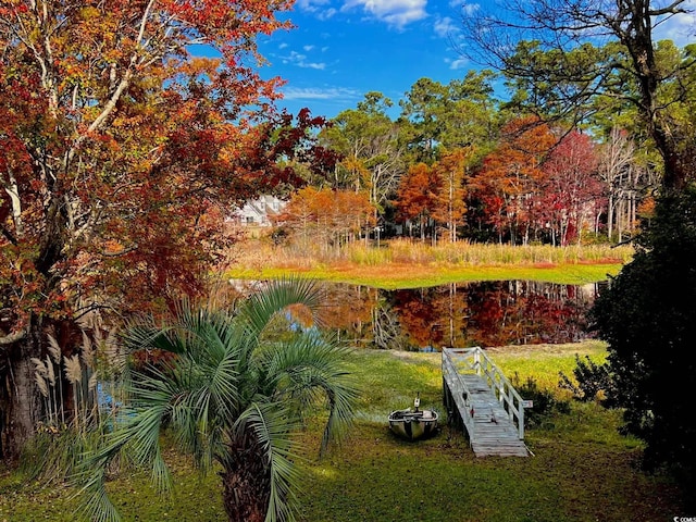 view of yard with a water view