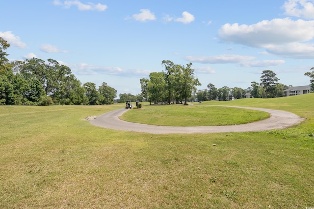 view of property's community featuring a yard