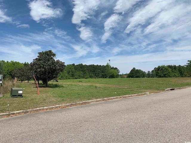 TBD Riverport Dr, Conway SC, 29526 land for sale