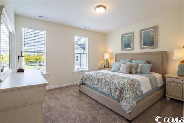 2810 Cook Cir Unit C, Myrtle Beach, SC 29577 - photo 12