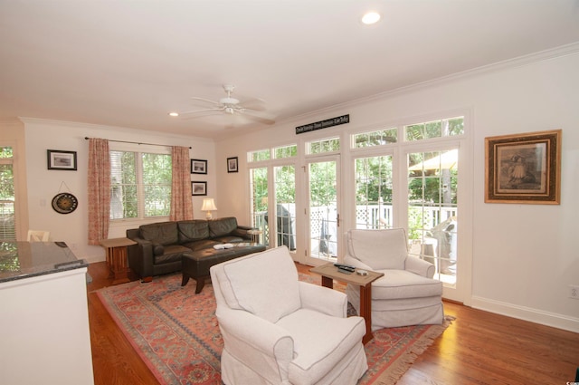 living room with a healthy amount of sunlight and wood-type flooring