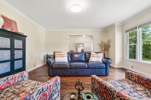 living room featuring ornamental molding and dark wood-type flooring