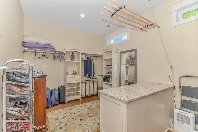 spacious closet with hardwood / wood-style flooring