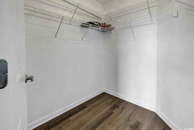 walk in closet with hardwood / wood-style floors