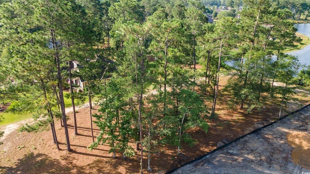 285 Byrnes Ln, Myrtle Beach, SC 29588 - photo 4