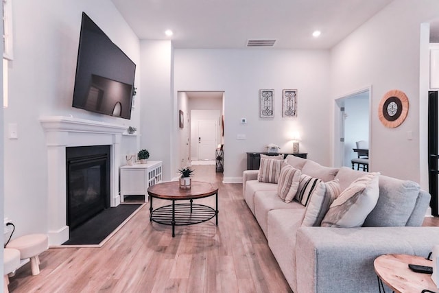 living room featuring wood-type flooring