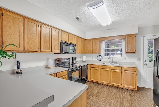 kitchen with a healthy amount of sunlight, sink, light hardwood / wood-style flooring, and black appliances