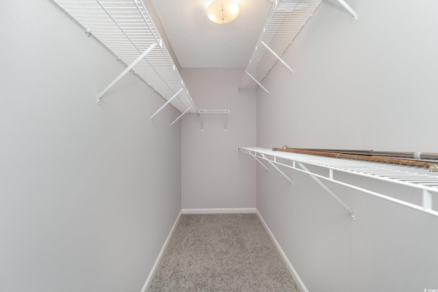 spacious closet featuring light carpet