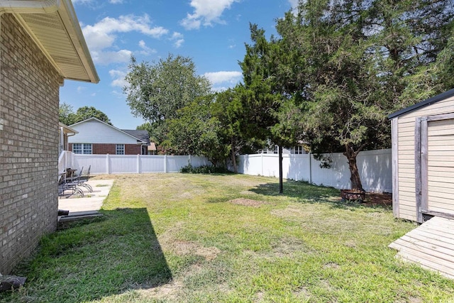 view of yard featuring a patio area and a storage unit