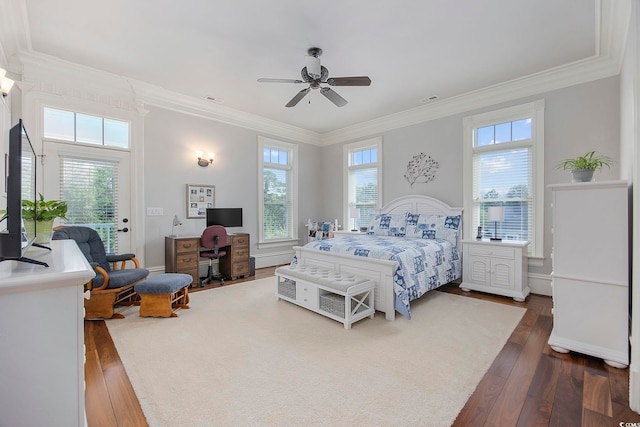 bedroom featuring multiple windows and dark hardwood / wood-style flooring