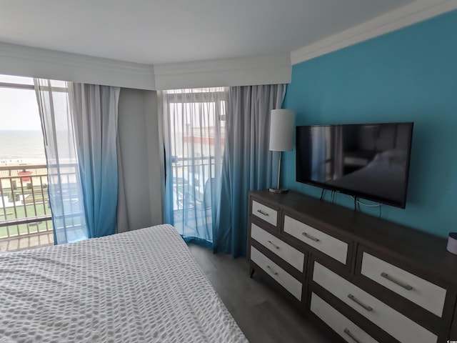 bedroom featuring a water view, multiple windows, and access to exterior