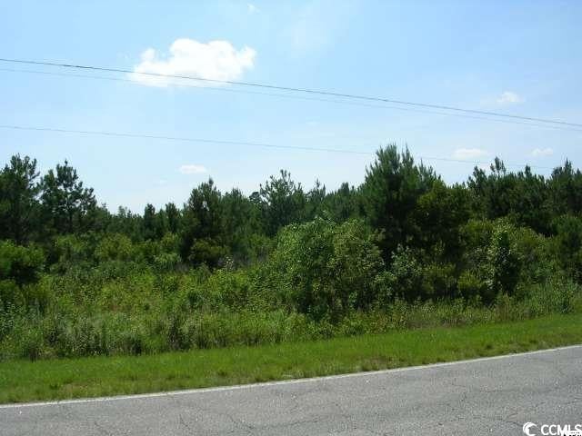 TBD Highway 9, Green Sea SC, 29545 land for sale