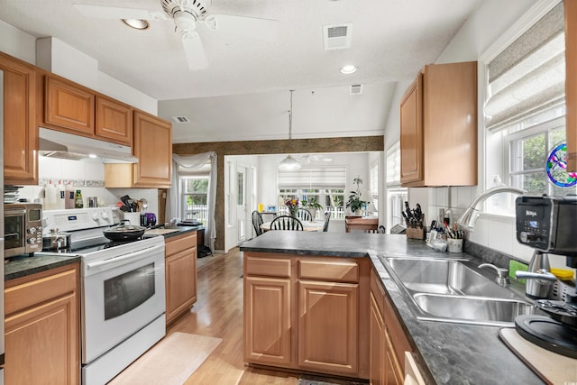 kitchen with ceiling fan, light hardwood / wood-style flooring, white electric stove, and a healthy amount of sunlight