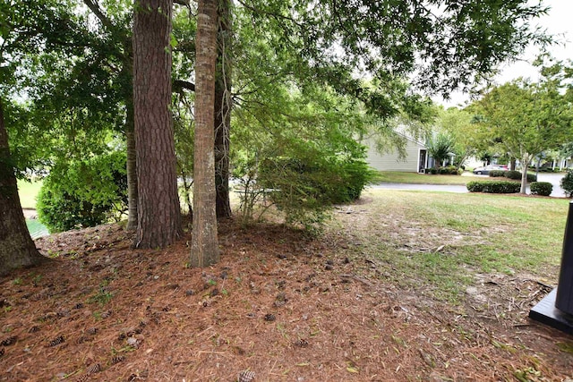 1065 Pinwheel Loop Unit 1065, Myrtle Beach, SC 29577 - photo 22