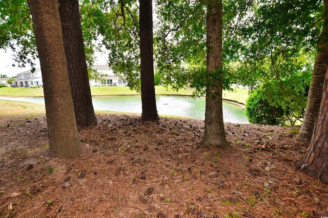 view of yard featuring a water view