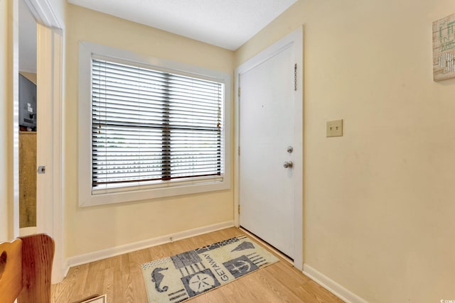 entryway with light hardwood / wood-style flooring