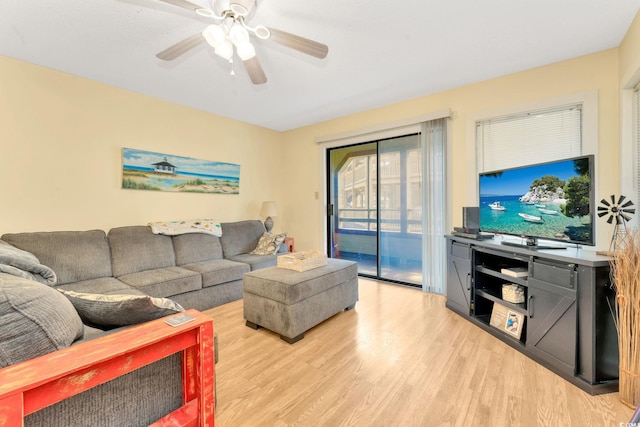 living room with ceiling fan and light hardwood / wood-style floors