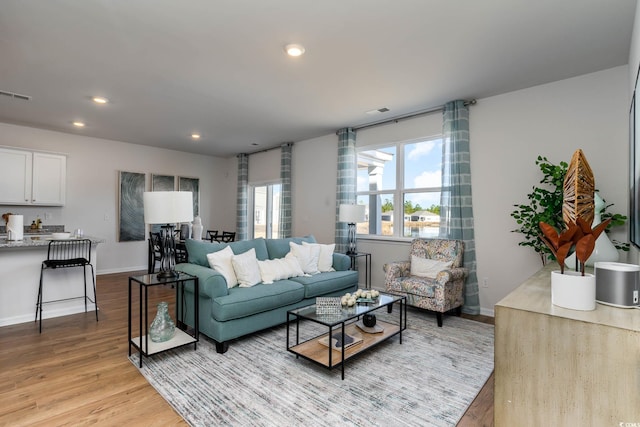 living room featuring light hardwood / wood-style flooring