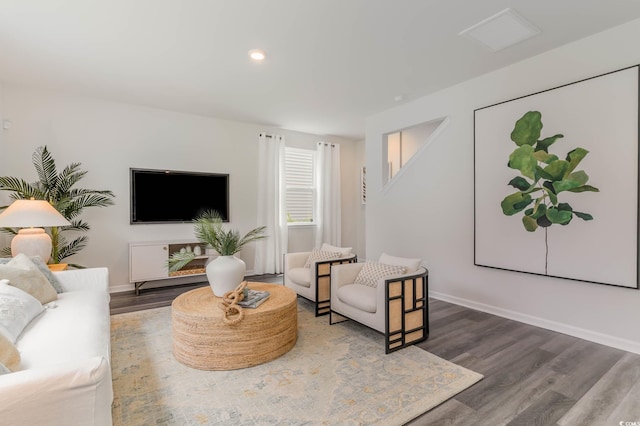 living room with wood-type flooring