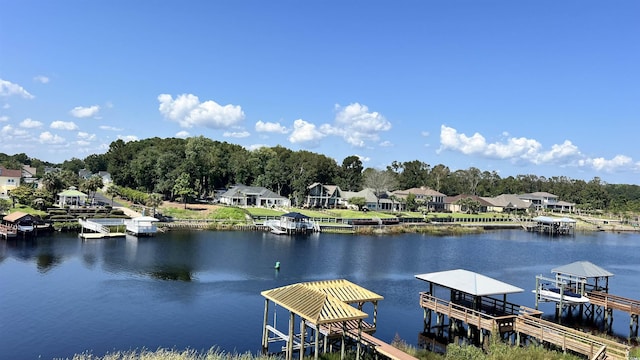 dock area with a water view