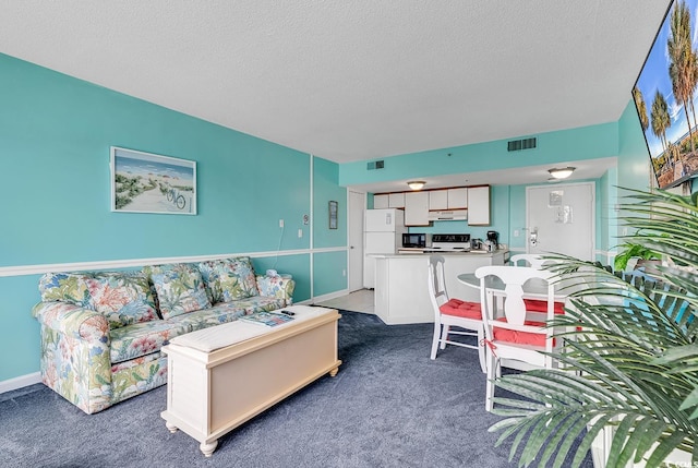 carpeted living room with a textured ceiling