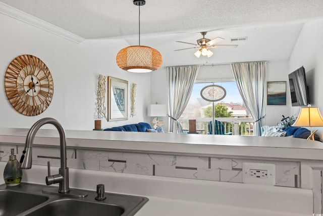 details with ceiling fan, ornamental molding, sink, and a textured ceiling