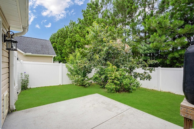 view of yard with a patio