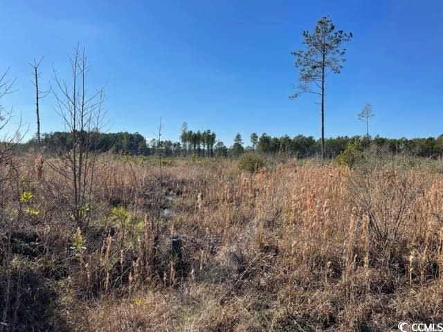 TBD Cheyenne Rd, Conway, SC 29526
