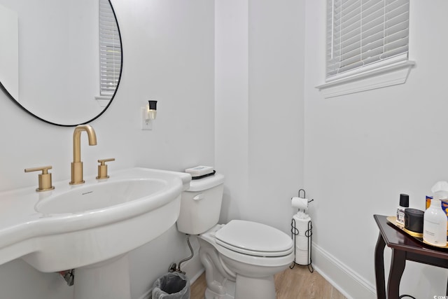 bathroom featuring toilet and hardwood / wood-style flooring