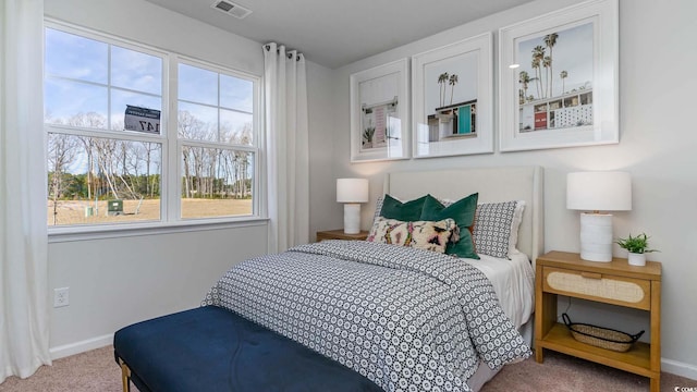 149 Pampa Dr, Loris, SC 29569 - bedroom featuring carpet floors and multiple windows