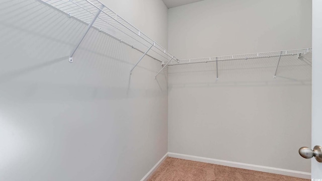 149 Pampa Dr, Loris, SC 29569 - spacious closet featuring carpet flooring