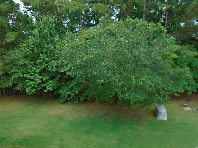 562 Blue Stem Dr Unit 54R, Pawleys Island, SC 29585 - photo 22