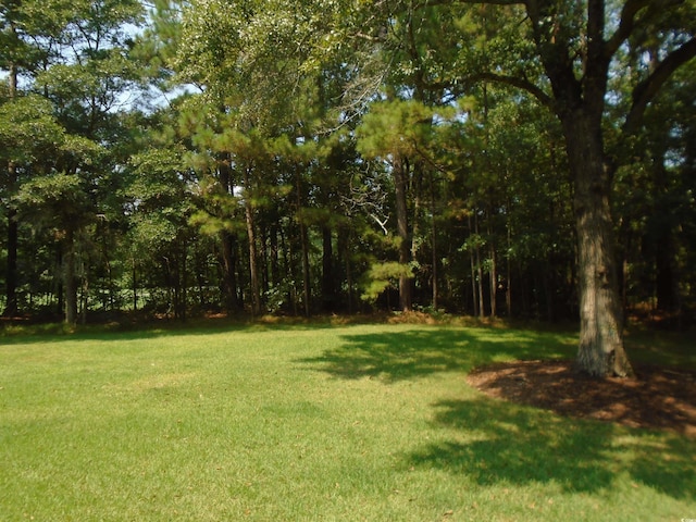 562 Blue Stem Dr Unit 54R, Pawleys Island, SC 29585 - photo 23