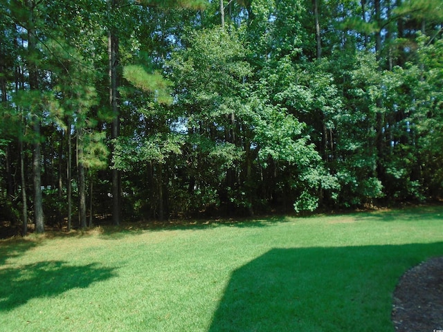 562 Blue Stem Dr Unit 54R, Pawleys Island, SC 29585 - photo 24