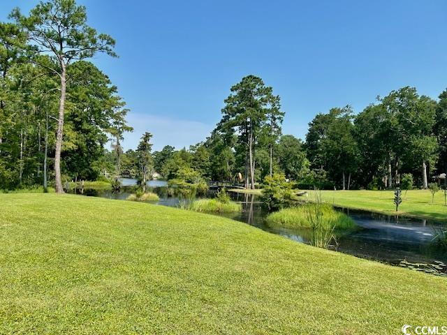 view of community featuring a water view and a yard