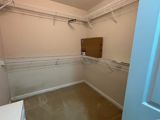 view of walk in closet