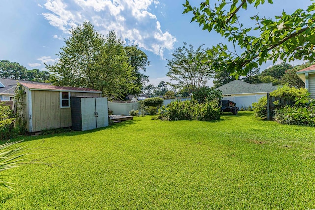 view of yard with a storage unit