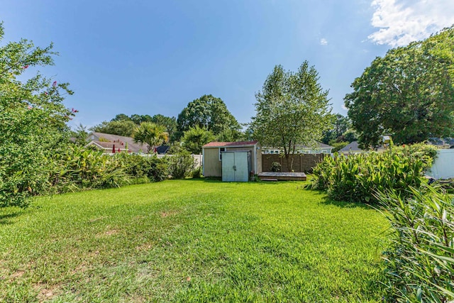 view of yard featuring a shed