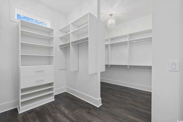 walk in closet with a chandelier and dark wood-type flooring