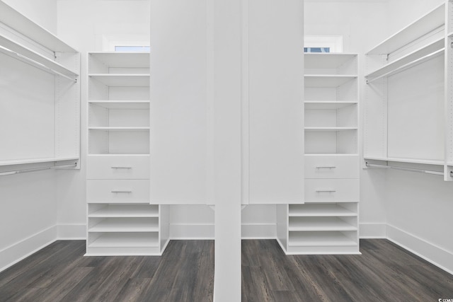 walk in closet featuring dark wood-type flooring