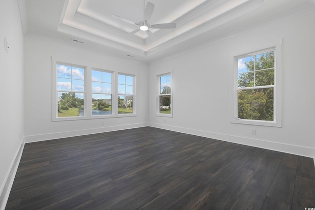 spare room featuring a tray ceiling, plenty of natural light, and dark wood-type flooring