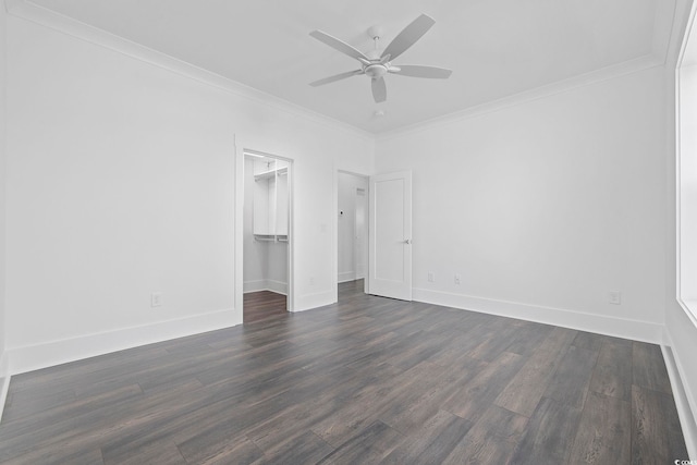 unfurnished bedroom featuring ceiling fan, dark hardwood / wood-style floors, a spacious closet, and crown molding