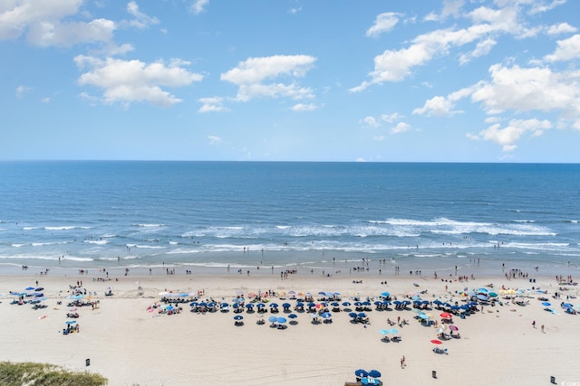 water view featuring a beach view