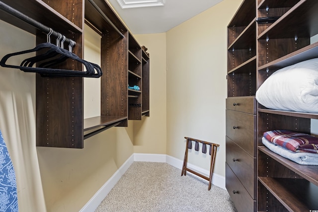 walk in closet featuring light carpet