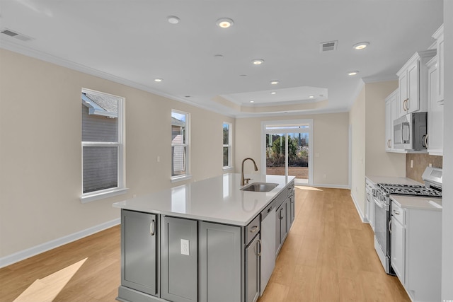 kitchen with stainless steel appliances, a tray ceiling, sink, a center island with sink, and white cabinets