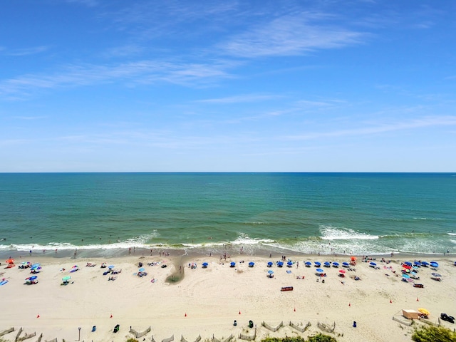 water view featuring a beach view